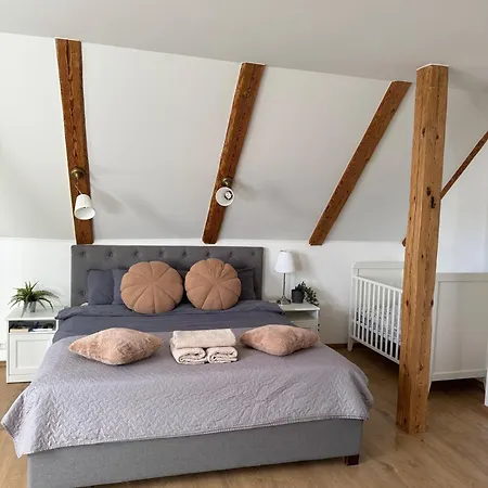 شقة Kreutzwaldi Kodu 2 *